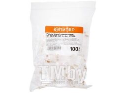 Разъем (джек) компьютерный RJ-45 8P8C CAT 5e (100 шт.) ЮПИТЕР