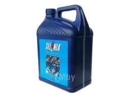 Моторное масло SELENIA MULTIPOWER 5W30 5L ACEA A1 A5, API SL, FIAT 9.55535-G1 C.T.R. NF315.B04 70549M12EU
