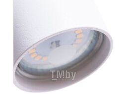 Потолочный светильник Arte Lamp Canopus A1516SP-1WH