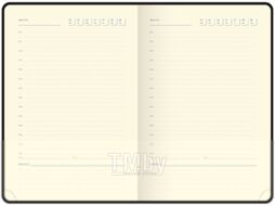 Ежедневник Berlingo Silver Pristine UD0 82501 (160л, черный)
