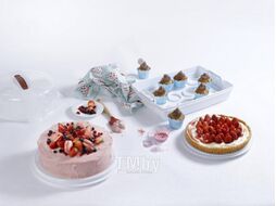 Контейнер Curver Cupcake Box / 219975 (прозрачный)
