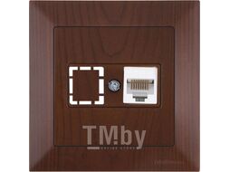 Розетка компьютерная 1xRJ45 (Cat5e, скрытая) орех, DARIA, MUTLUSAN ((RJ 45) 8-pin, соединения типа 568A или 568B)