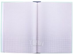 Книга учета OfficeSpace CL-98-325 / 153185 (96л, клетка)