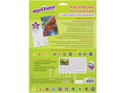 Раскраска Юнландия Птичка с цветными карандашами / 661607