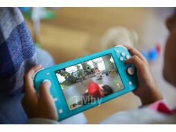 Игра для игровой консоли Nintendo NS: Mario Kart Live: Home Circuit / 45496426279