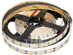 Светодиодная лента Byled 5630 / BLS5630-60-12-12-W (холодный белый)