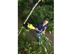 Сучкорез RYOBI RY18PLA-0 (без батареи)