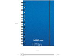 Тетрадь Erich Krause Ice Metallic / 50166 (80л, клетка)