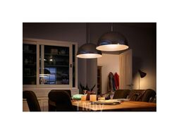 Лампа Philips ESS LEDBulb 11W(95Вт) A55-3000K, до 8000ч., теплый белый, 230V E27 8718696822081