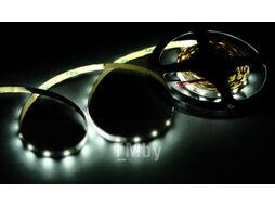 Светодиодная лента Byled 2835 / BLS2835-60-12-4.8-W (холодный белый)