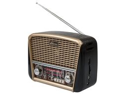 Радиоприемник Ritmix RPR-050 GOLD