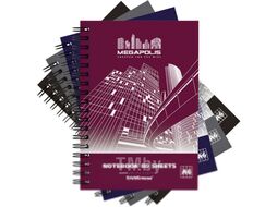 Тетрадь Erich Krause Megapolis / 42716 (80л, клетка)