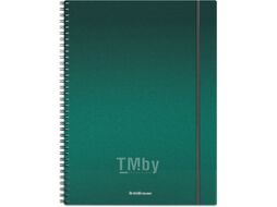 Тетрадь Erich Krause Ice Metallic / 50168 (80л, клетка)