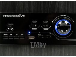Мультимедиа акустика Dialog Progressive AP-170