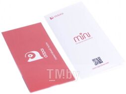 Автомобильный видеорегистратор DDPai Mini