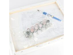 Картина по номерам Darvish DV-4357-2