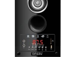 Мультимедиа акустика Ginzzu GM-302