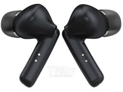 Беспроводные наушники Padmate PaMu T10 Quiet (черный)