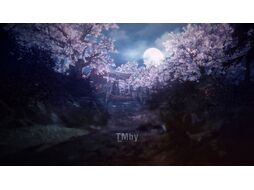 Игра для игровой консоли PlayStation 4 Nioh 2