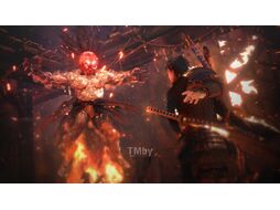 Игра для игровой консоли PlayStation 4 Nioh 2