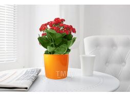 Горшок для цветов 1,5 л, Юкка, апельсин, GARDENPLAST