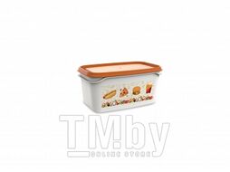 Контейнер Good day, 0,5 л, мандарин, BEROSSI (Изделие из пластмассы. Размер 160 х 101 х 77 мм)