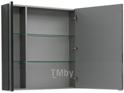 Шкаф с зеркалом для ванной Aquanet Алвита 100 / 240113 (серый антрацит)