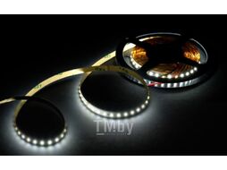 Светодиодная лента Byled Pro 2835 / BLS2835-80-24-7.2-W-PRO (холодный белый)