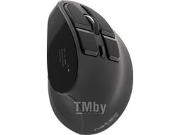 Мышь Natec Euphonie Vertical NMY-1601 (черный)