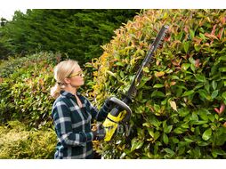Кусторез аккумуляторный 36В RYOBI RHT36B61R (без батареи)