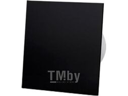 Вентилятор вытяжной AirRoxy dRim 100TS-C162