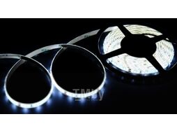 Светодиодная лента Byled 2835 / BLS2835-60-12-4.8-W-65 (холодный белый)