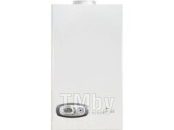 Газовый котел Ferroli Divatech D HF 24 (EX)