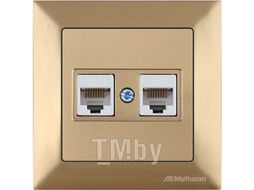Розетка компьютерная 2xRJ45 (Cat6, скрытая) золото, DARIA, MUTLUSAN ((2xRJ 45) 8-pin, соединения типа 568A или 568B)