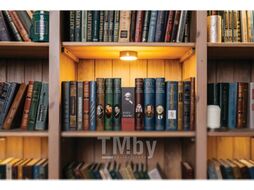 Книга-сейф Brauberg К. Маркс Капитал / 291049