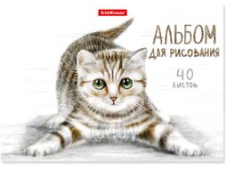 Альбом для рисования Erich Krause Tabby / 53193