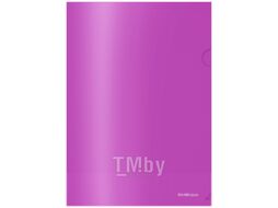 Папка-уголок Erich Krause Glossy Vivid / 53320