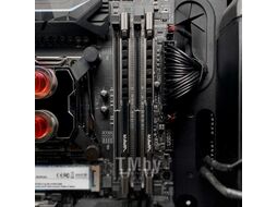 Оперативная память DDR4 Patriot PVS48G360C8