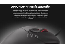 Мышь GENESIS Xenon 800 / NMG-1629 (черный)