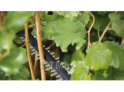Аккум. ножницы садовые BOSCH AdvancedShear 18V-10 в кор. (18.0 В, 1 акк., 2.0 А/ч, Li-Ion, шир. 10 мм)