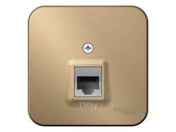 Розетка компьютерная Blanca RJ45 категория 5 (изолирующая пластина) открытая установка, титан Schneider Electric BLNIA045004
