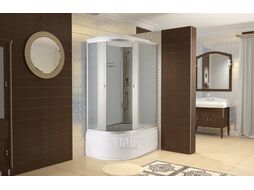 Душевая кабина Niagara NG-1310-14 L 120x80x215 (матовое переднее стекло/хром)