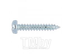 Саморез с полукр. гол., бел. оц., 5,5х60, DIN 7981 Wurth 011555 60