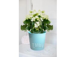 Горшок для цветов 1,5 л, Юкка, мятный, GARDENPLAST