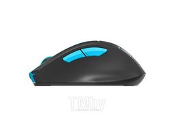 Мышь A4Tech Fstyler FG30 (черный/синий)