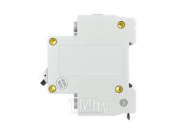 Выключатель автоматический EKF ВА 47-29 2P 40A (C) 4.5кА / mcb4729-2-40C