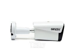 IP-камера Ginzzu HIB-2301S
