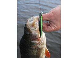 Воблер Lucky John Pro Series Basara SP 07.00/110 / BA70SP-110