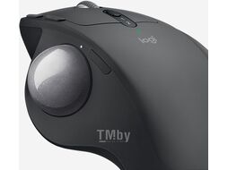 Mышь Logitech L910-005179