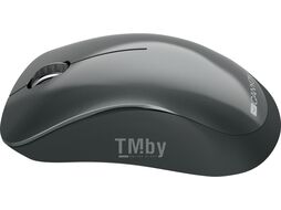 Мышь (Box) Canyon CNE-CMSW11B